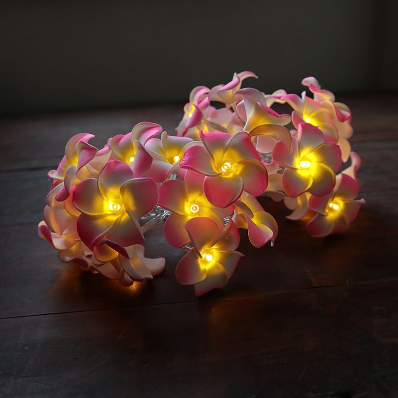 KathGolap Fairy Light – Decorative LED Flower String Light for Room & Home Decoration.
