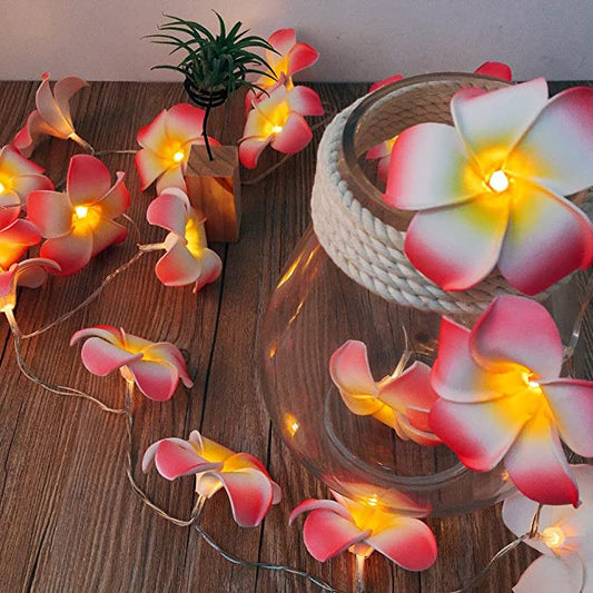 KathGolap Fairy Light – Decorative LED Flower String Light for Room & Home Decoration.