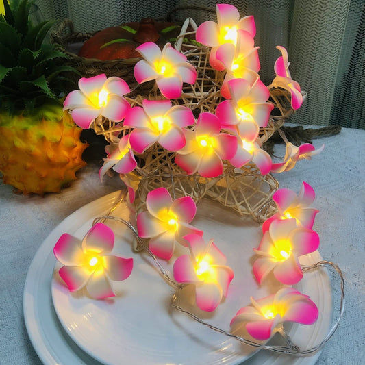 KathGolap Fairy Light – Decorative LED Flower String Light for Room & Home Decoration.